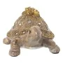 Figura Decorativa Alexandra House Living Castanho Dourado Plástico Tartaruga 15 x 15 x 21 cm de Alexandra House Living, Colec...