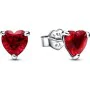 Pendientes Mujer Pandora 292549C01 Acero Inoxidable Plata de ley 925 de Pandora, Pendientes - Ref: S7273080, Precio: 89,44 €,...