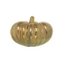 Decorative Figure Alexandra House Living Golden Ceramic Pumpkin 23 x 23 x 16 cm by Alexandra House Living, Collectables - Ref...