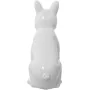 Decorative Figure Alexandra House Living White Ceramic Dog 14 x 25 x 34 cm by Alexandra House Living, Collectables - Ref: D16...