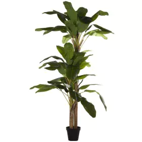 Decorative Plant Alexandra House Living Plastic Banana plant 23 x 234 x 23 cm by Alexandra House Living, Artificial Trees - R...