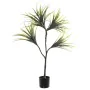 Planta Decorativa Alexandra House Living Plástico Drácena 15 x 27 x 121 cm de Alexandra House Living, Plantas - Ref: D1623579...