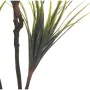 Pianta Decorativa Alexandra House Living Plastica Dracaena 15 x 27 x 121 cm di Alexandra House Living, Piante artificiali - R...