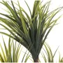 Pianta Decorativa Alexandra House Living Plastica Dracaena 15 x 27 x 121 cm di Alexandra House Living, Piante artificiali - R...