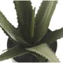 Decorative Plant Alexandra House Living Plastic Aloe Vera 11 x 11 x 39 cm by Alexandra House Living, Artificial Plants - Ref:...