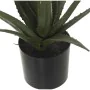 Decorative Plant Alexandra House Living Plastic Aloe Vera 11 x 11 x 39 cm by Alexandra House Living, Artificial Plants - Ref:...