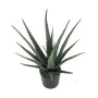 Decorative Plant Alexandra House Living Plastic Aloe Vera 11 x 11 x 39 cm by Alexandra House Living, Artificial Plants - Ref:...