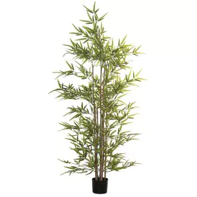 Planta Decorativa Alexandra House Living Plástico Bambu 15 x 15 x 162 cm de Alexandra House Living, Plantas - Ref: D1623585, ...