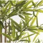 Plante décorative Alexandra House Living Plastique Bambou 15 x 15 x 162 cm de Alexandra House Living, Plantes artificielles -...