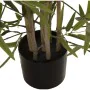 Plante décorative Alexandra House Living Plastique Bambou 15 x 15 x 162 cm de Alexandra House Living, Plantes artificielles -...