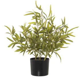 Planta Decorativa Alexandra House Living Plástico Bambú 14 x 14 x 54 cm de Alexandra House Living, Plantas - Ref: D1623591, P...