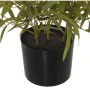 Planta Decorativa Alexandra House Living Plástico Bambú 14 x 14 x 54 cm de Alexandra House Living, Plantas - Ref: D1623591, P...