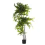 Pianta Decorativa Alexandra House Living Plastica Ficus 18 x 22 x 162 cm di Alexandra House Living, Piante artificiali - Rif:...