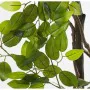 Plante décorative Alexandra House Living Plastique Ficus 18 x 22 x 162 cm de Alexandra House Living, Plantes artificielles - ...