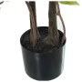 Planta Decorativa Alexandra House Living Plástico Ficus 18 x 22 x 162 cm de Alexandra House Living, Plantas - Ref: D1623600, ...