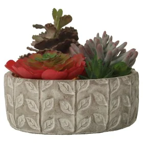 Plante décorative Alexandra House Living Plastique Succulent 20 x 21 x 18 cm de Alexandra House Living, Plantes artificielles...