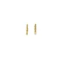 Boucles d´oreilles Femme AN Jewels AB.EP053 de AN Jewels, Boucles d'oreilles - Réf : S7282953, Prix : 67,01 €, Remise : %