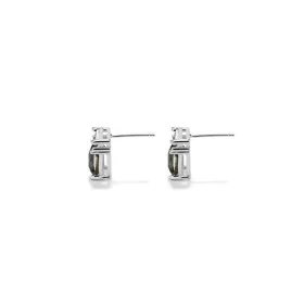 Boucles d´oreilles Femme Radiant RY000197 de Radiant, Boucles d'oreilles - Réf : S7290562, Prix : 62,77 €, Remise : %