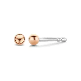 Boucles d´oreilles Femme Ti Sento 7841SR de Ti Sento, Boucles d'oreilles - Réf : S7293737, Prix : 48,69 €, Remise : %