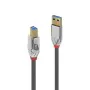 Cable USB A a USB B LINDY 36661 Gris 1 m de LINDY, Cables USB - Ref: S7715427, Precio: 14,81 €, Descuento: %