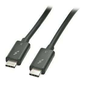 Cable USB-C LINDY 41556 1 m de LINDY, Cables USB - Ref: S7716827, Precio: 43,83 €, Descuento: %