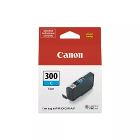 Cartucho de Tinta Original Canon 300 de Canon, Tóners y tinta de impresora - Ref: S7716911, Precio: 15,13 €, Descuento: %