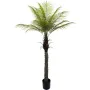 Plante décorative Alexandra House Living Plastique Palmier 180 cm de Alexandra House Living, Arbres artificiels - Réf : D1626...