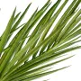 Decorative Plant Alexandra House Living Plastic Palm tree 180 cm by Alexandra House Living, Artificial Trees - Ref: D1626944,...