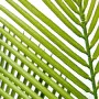 Decorative Plant Alexandra House Living Plastic Palm tree 180 cm by Alexandra House Living, Artificial Trees - Ref: D1626944,...