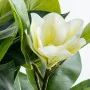 Decorative Plant Alexandra House Living Plastic Magnolia 100 cm by Alexandra House Living, Artificial Plants - Ref: D1626946,...