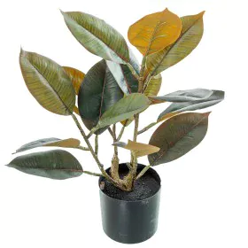 Plante décorative Alexandra House Living Plastique Chêne 50 cm de Alexandra House Living, Arbres artificiels - Réf : D1626949...