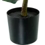 Plante décorative Alexandra House Living Plastique Ficus 90 cm de Alexandra House Living, Plantes artificielles - Réf : D1626...