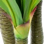 Plante décorative Alexandra House Living Plastique Dracaena 180 cm de Alexandra House Living, Plantes artificielles - Réf : D...