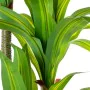 Plante décorative Alexandra House Living Plastique Dracaena 180 cm de Alexandra House Living, Plantes artificielles - Réf : D...