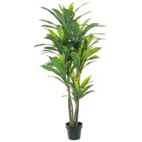 Planta Decorativa Alexandra House Living Plástico Dracaena 160 cm de Alexandra House Living, Plantas - Ref: D1626953, Preço: ...