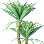 Pianta Decorativa Alexandra House Living Plastica Cassava 120 cm di Alexandra House Living, Piante artificiali - Rif: D162695...