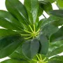 Decorative Plant Alexandra House Living Plastic Schefflera 125 cm by Alexandra House Living, Artificial Trees - Ref: D1626957...