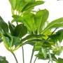 Decorative Plant Alexandra House Living Plastic Schefflera 125 cm by Alexandra House Living, Artificial Trees - Ref: D1626957...