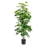 Plante décorative Alexandra House Living Plastique Schefflera 155 cm de Alexandra House Living, Arbres artificiels - Réf : D1...