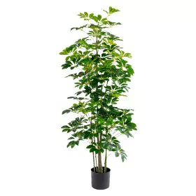 Plante décorative Alexandra House Living Plastique Schefflera 155 cm de Alexandra House Living, Arbres artificiels - Réf : D1...