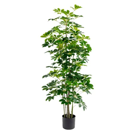 Plante décorative Alexandra House Living Plastique Schefflera 155 cm de Alexandra House Living, Arbres artificiels - Réf : D1...