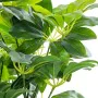 Decorative Plant Alexandra House Living Plastic Schefflera 155 cm by Alexandra House Living, Artificial Trees - Ref: D1626958...