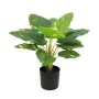 Planta Decorativa Alexandra House Living Plástico 50 cm de Alexandra House Living, Plantas - Ref: D1626963, Preço: 27,79 €, D...