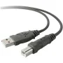 Cabo USB 2.0 Belkin F3U154BT3M Impressora 3 m Preto Cinzento de Belkin, Cabos USB - Ref: S7740538, Preço: 18,21 €, Desconto: %