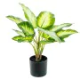 Decorative Plant Alexandra House Living Plastic Aglaonema 50 cm by Alexandra House Living, Artificial Plants - Ref: D1626965,...