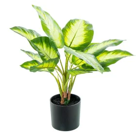 Plante décorative Alexandra House Living Plastique Aglaonema 50 cm de Alexandra House Living, Plantes artificielles - Réf : D...