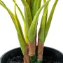 Plante décorative Alexandra House Living Plastique Aglaonema 50 cm de Alexandra House Living, Plantes artificielles - Réf : D...