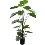 Planta Decorativa Alexandra House Living Plástico Calathea 150 cm de Alexandra House Living, Plantas - Ref: D1626968, Precio:...