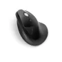 Souris sans-fil Kensington K75501EU Noir de Kensington, Souris - Réf : S7746015, Prix : 58,42 €, Remise : %