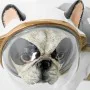 Deko-Figur Alexandra House Living Kunststoff Hund Astronaut 19 x 14 x 18 cm von Alexandra House Living, Sammlerstücke - Ref: ...